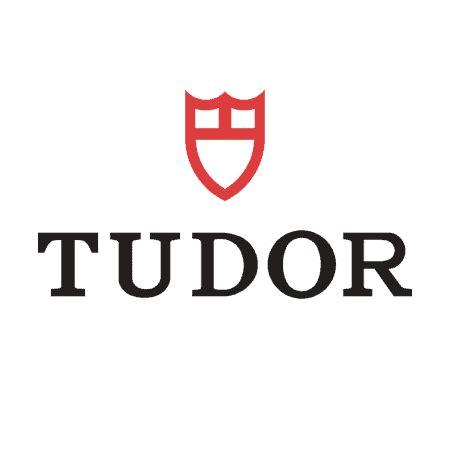 tudor authentication